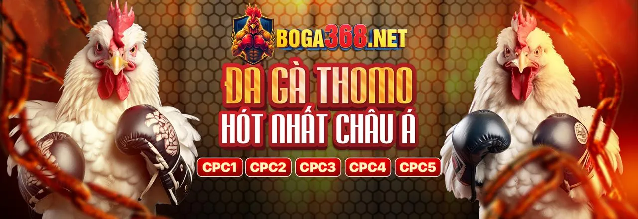 Trải nghiệm đá gà trực tuyến đỉnh cao tại Junn88 link mới